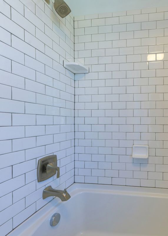 Shower Regrouting Service